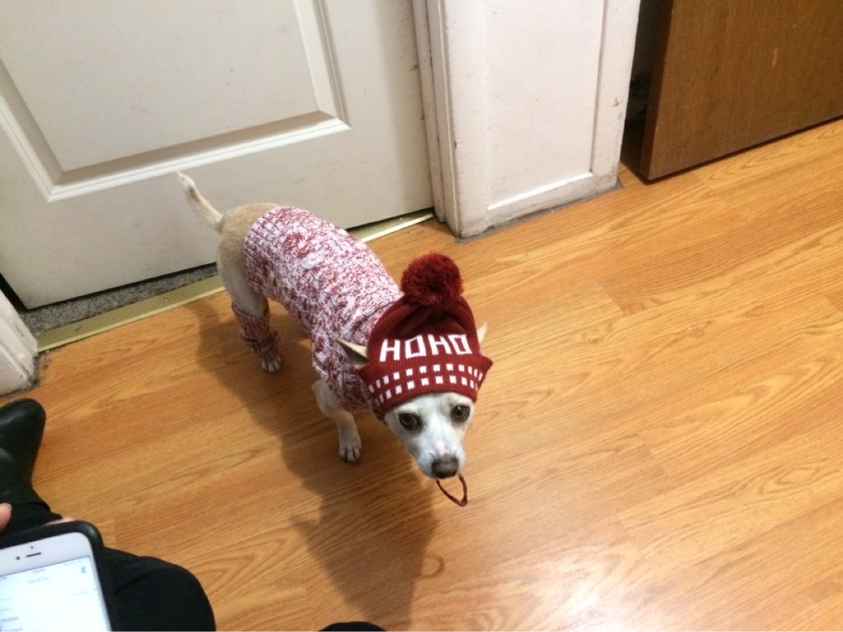 Brady wearing a Christmas sweater and a red HOHO beanie