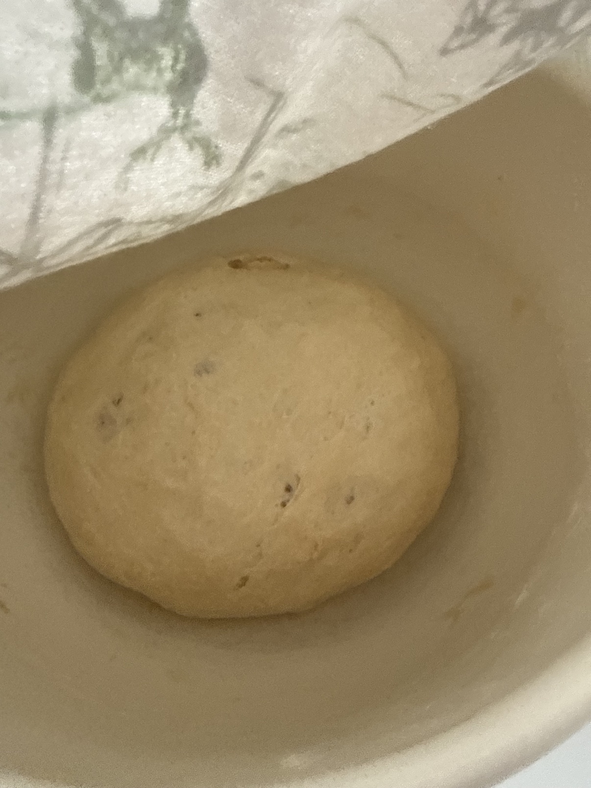 Bread dough rising in a bowl