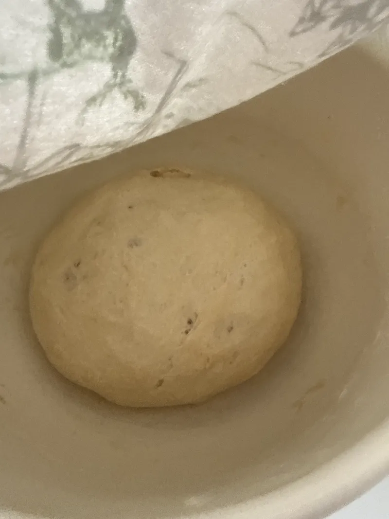 Bread dough rising in a bowl